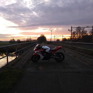IMG_164346286.jpg